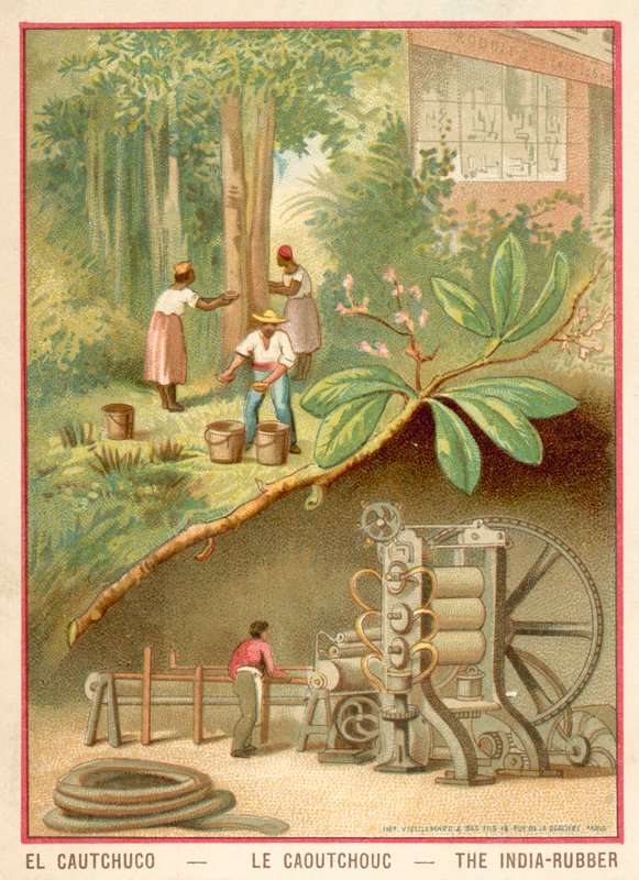 Intian kumi (chromolitho) tekijältä French School