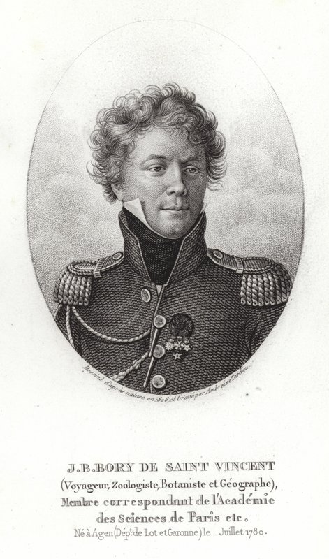 Jean-Baptiste Bory Saint-Vincentistä tekijältä French School