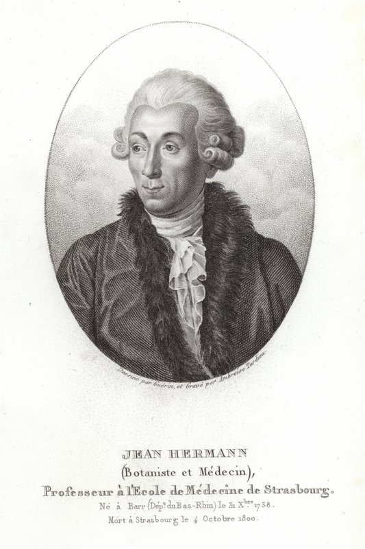 Jean Hermann tekijältä French School