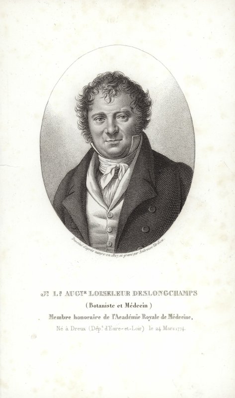 Jean Louis August Loiseleur-Deslongchamps tekijältä French School
