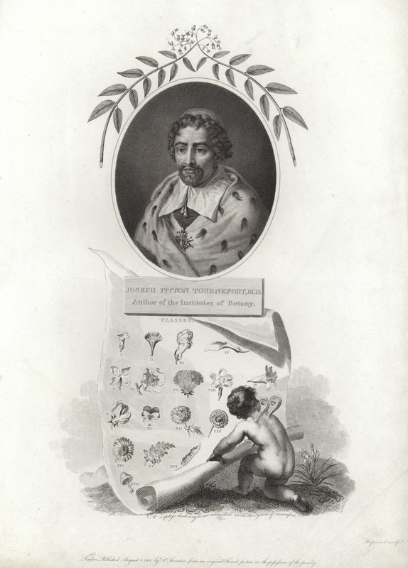 Joseph Pitton de Tournefort tekijältä French School