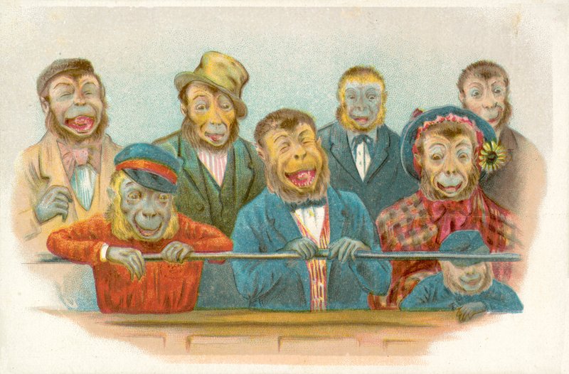 Nauravat apinat (chromolitho) tekijältä French School