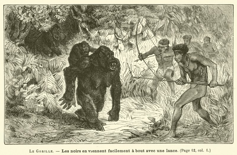 Gorilla (kaiverrus) tekijältä French School