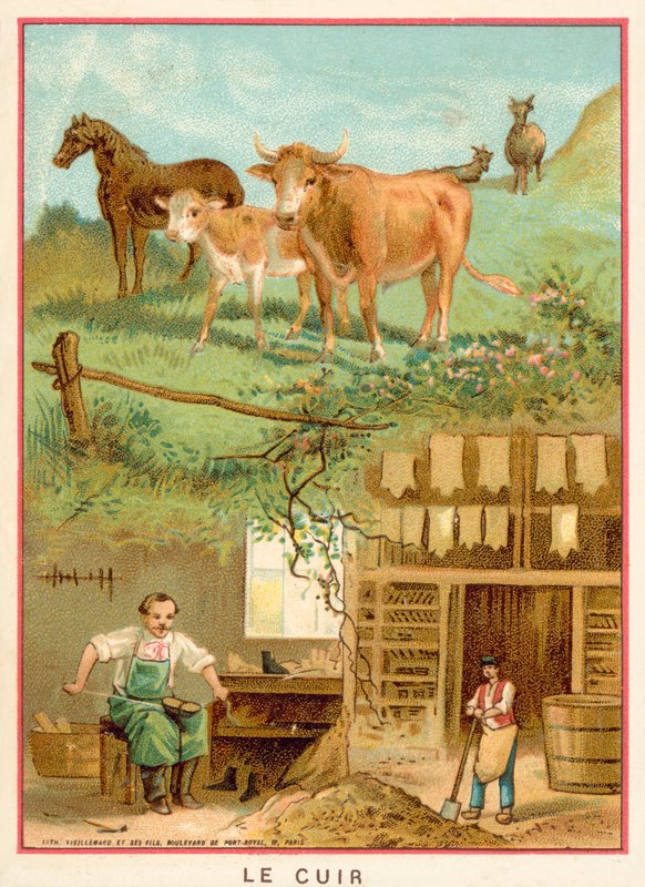 Nahka (chromolitho) tekijältä French School