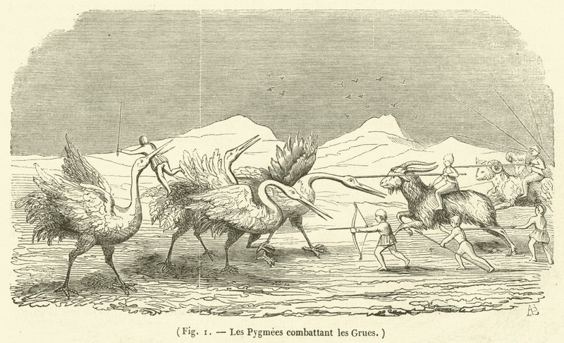 Nostureita vastaan ​​taistelevat pygmit (kaiverrus) tekijältä French School