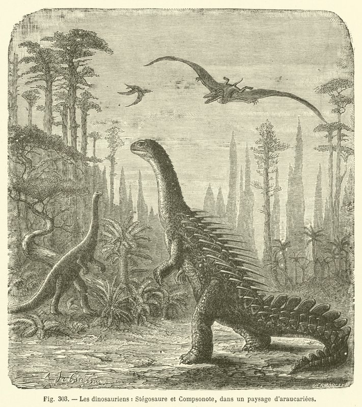 Dinosaurukset, Stegosaurus ja Compsonote, Araucariae-maisemassa (kaiverrus) tekijältä French School