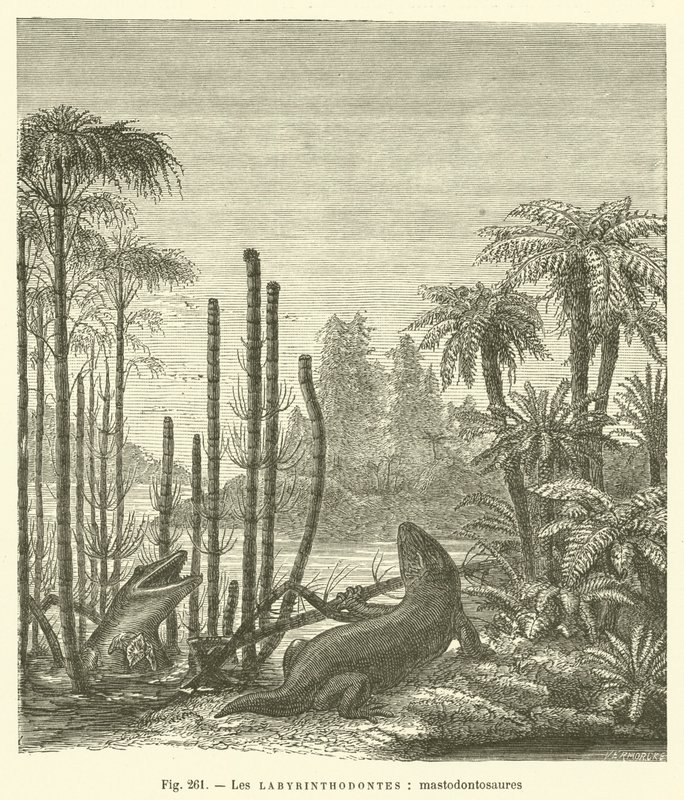 Les labyrinthodontes, mastodontosaures (kaiverrus) tekijältä French School