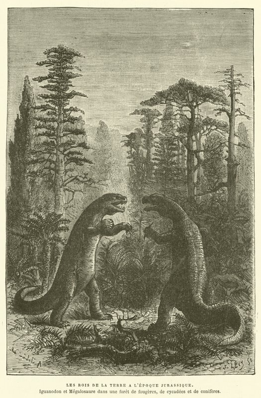 Maan kuninkaat Jurassic-kaudella (kaiverrus) tekijältä French School
