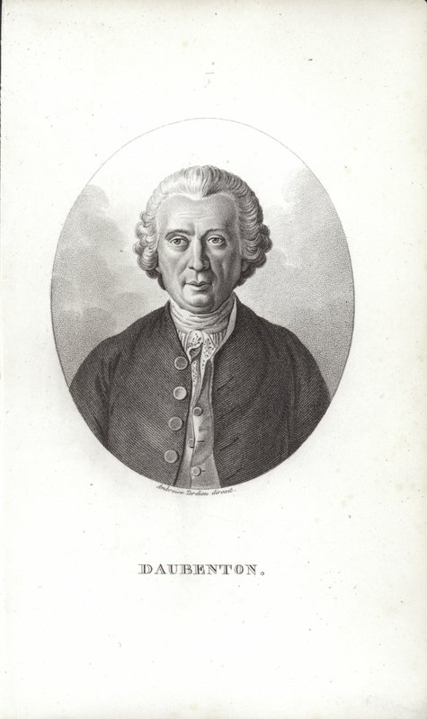 Louis-Jean-Marie Daubenton tekijältä French School