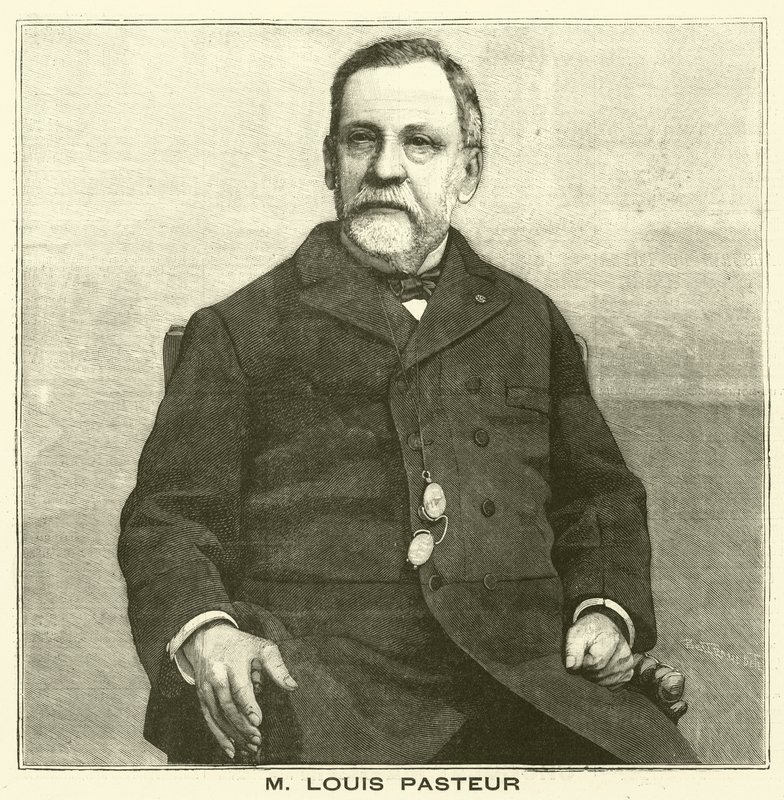 Louis Pasteur, ranskalainen mikrobiologi (kaiverrus) tekijältä French School
