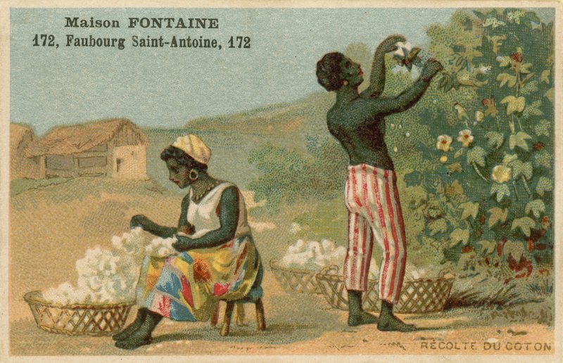 Maison Fontaine -kauppakortti, puuvillan sato tekijältä French School