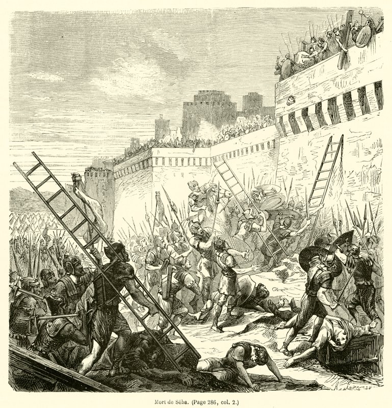 Mort de Seba (kaiverrus) tekijältä French School