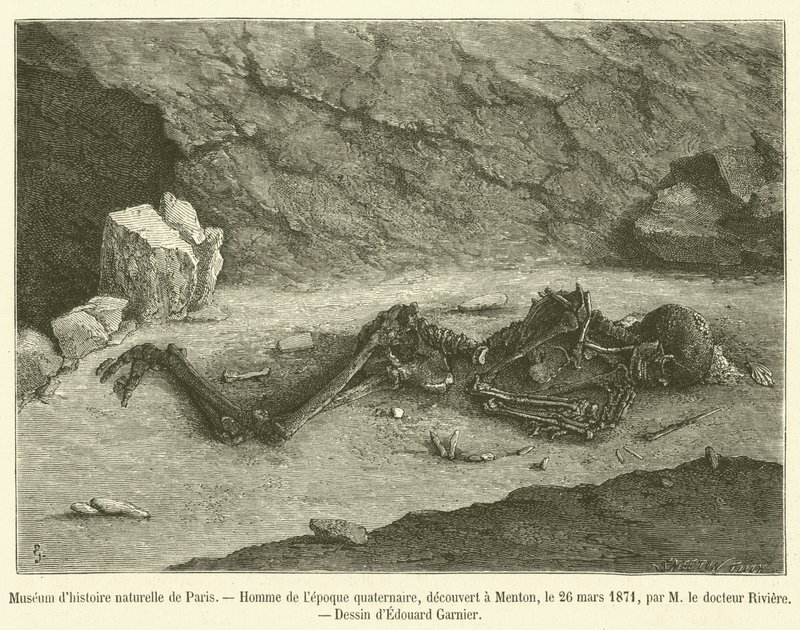 Pariisin luonnonhistoriallinen museo (kaiverrus) tekijältä French School