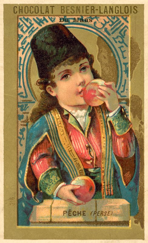 Persikat Persiasta (chromolitho) tekijältä French School