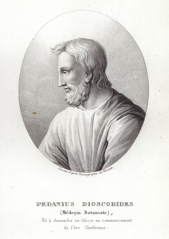 Pedanius Dioscorides tekijältä French School