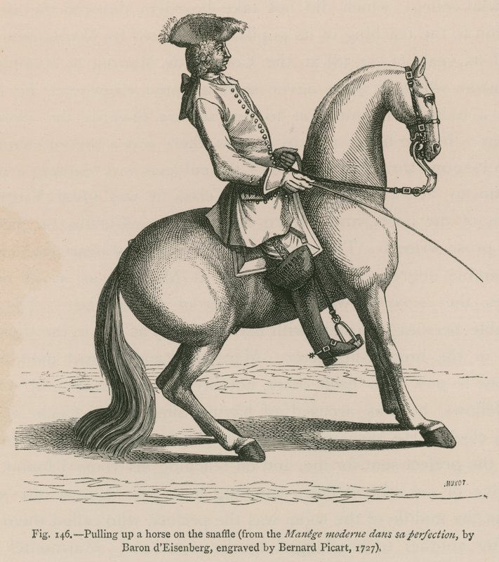 Hevosen nostaminen snafflella (Manege moderne dans sa perfection, Baron dEisenberg, kaiverrus Bernard Picart, 1727) tekijältä French School