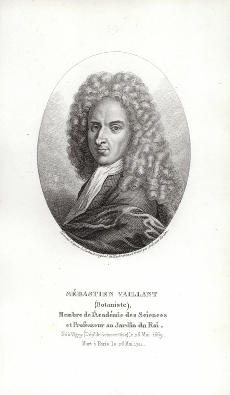 Sebastien Vaillant tekijältä French School