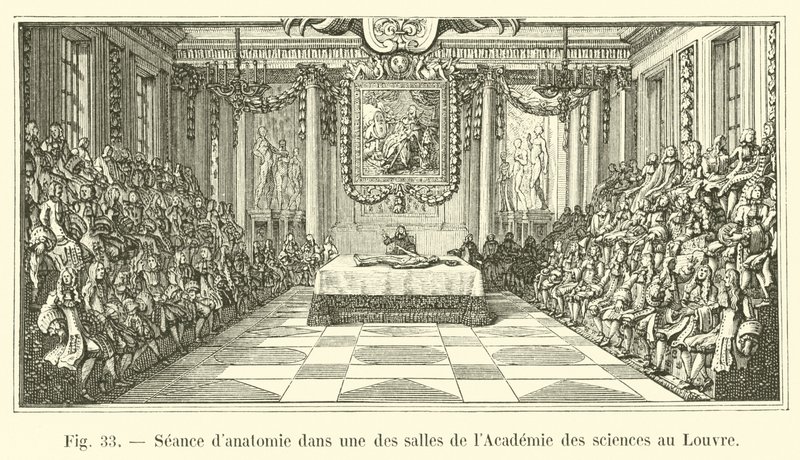 Anatomian istunto yhdessä tiedeakatemian huoneista Louvressa tekijältä French School