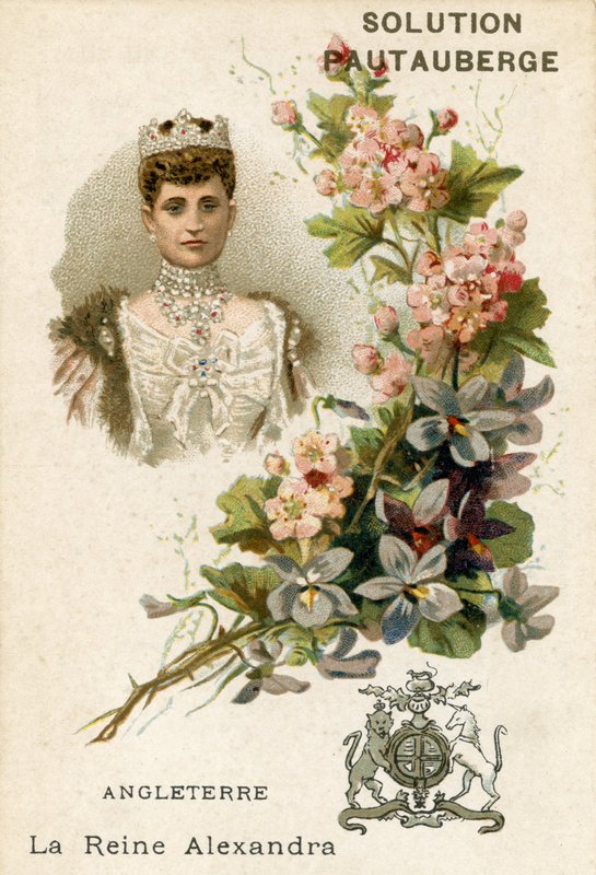 Ratkaisu Pautauberge-kauppakortti, Alexandra of Denmark tekijältä French School