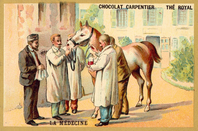 Veren ottaminen hevoselta (chromolitho) tekijältä French School