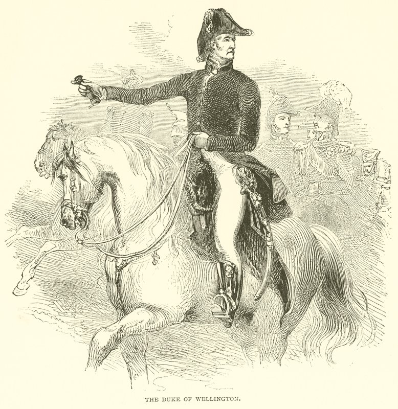 The Duke of Wellington (kaiverrus) tekijältä French School