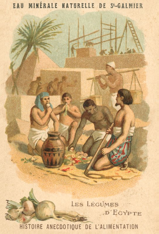 Egyptin vihannekset (chromolitho) tekijältä French School