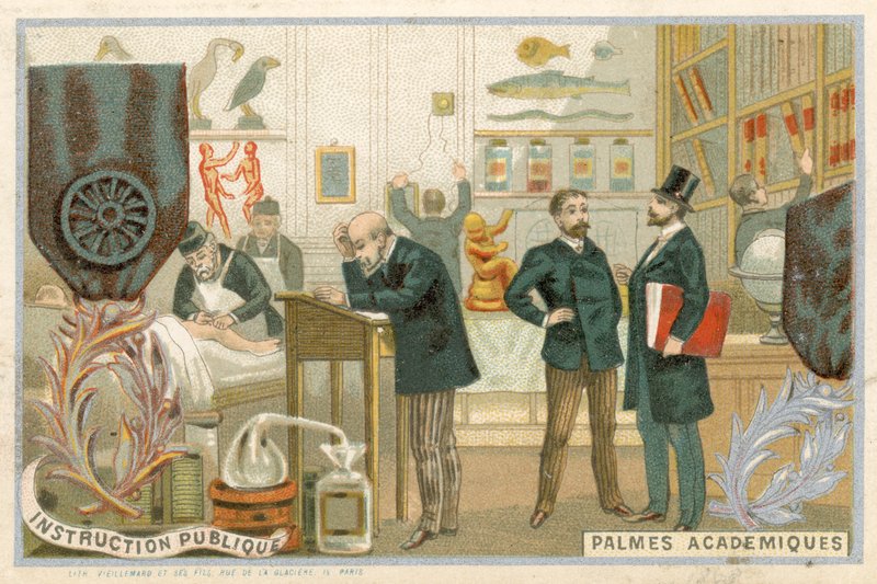 Kauppakortti, jossa on Ordre des Palmes Academiquesin kuva tekijältä French School