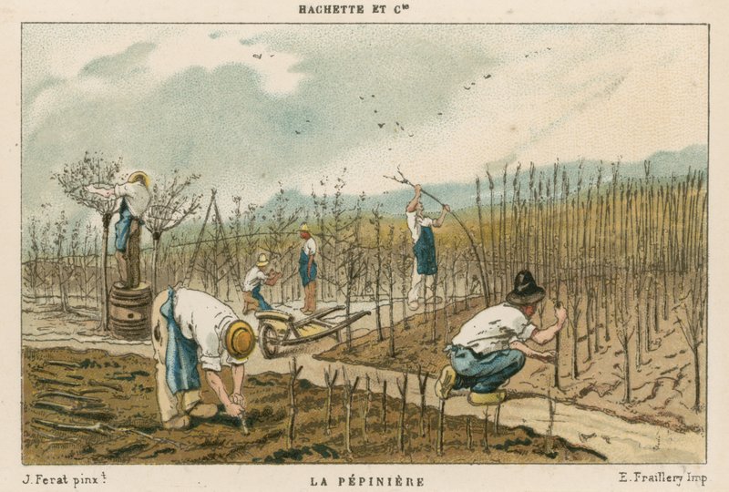 Huonekalut ja erilaiset esineet 1100- ja 1300-luvuilta tekijältä French School