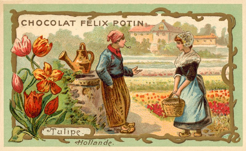 Tulppaanit, Alankomaat (chromolitho) tekijältä French School