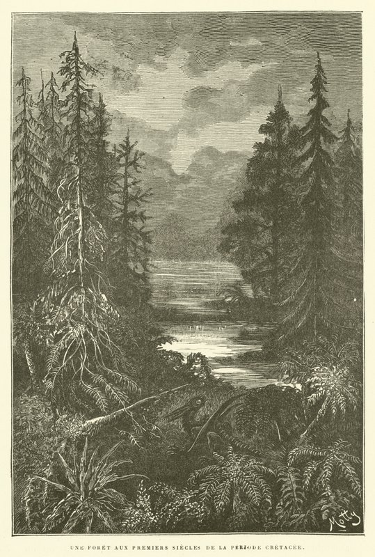 Metsä liitukauden ensimmäisillä vuosisatoilla (kaiverrus) tekijältä French School