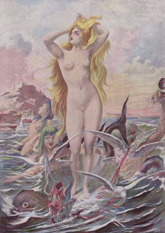 Venus Anadyomene tekijältä French School