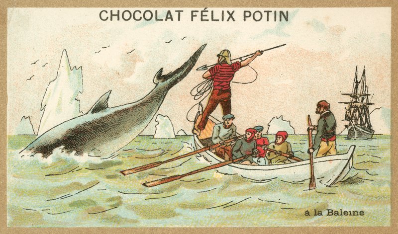 Valaanpyynti (chromolitho) tekijältä French School