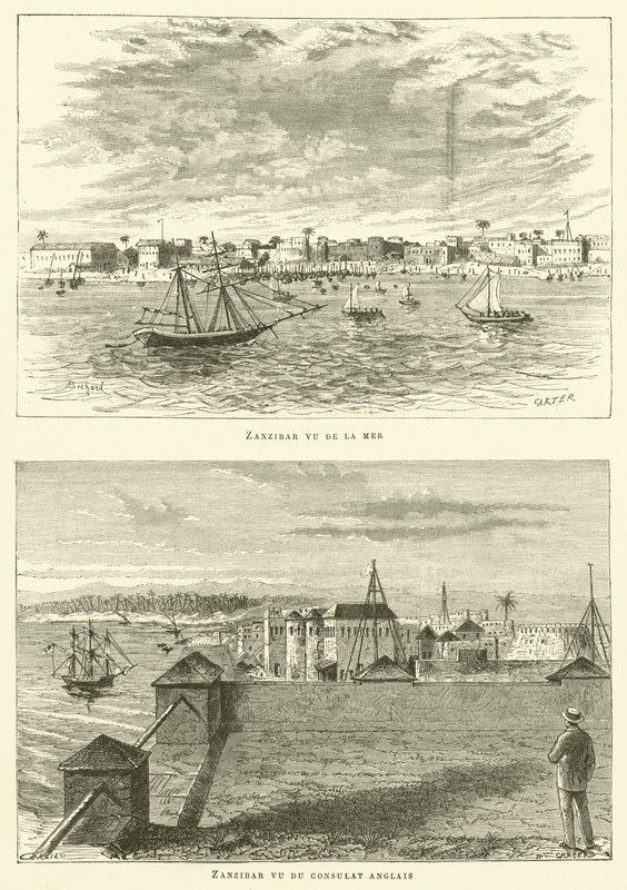 Zanzibar (kaiverrus) tekijältä French School