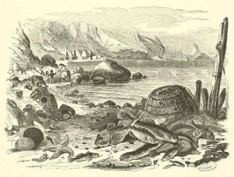 Kalastus (kaiverrus) tekijältä Friedrich Specht