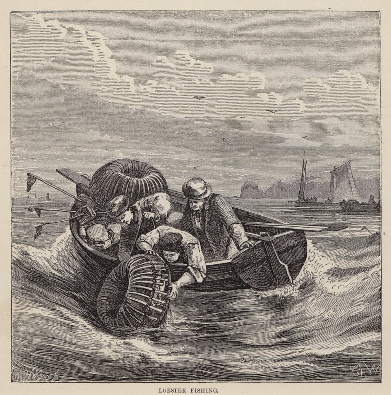 Lobster Fishing (värillinen kaiverrus) tekijältä Friedrich Specht