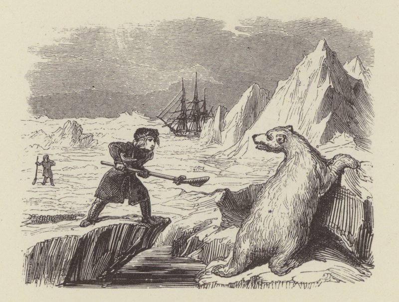 Nuori Nelson tappamassa jääkarhun (kaiverrus) tekijältä George (after) Cruikshank