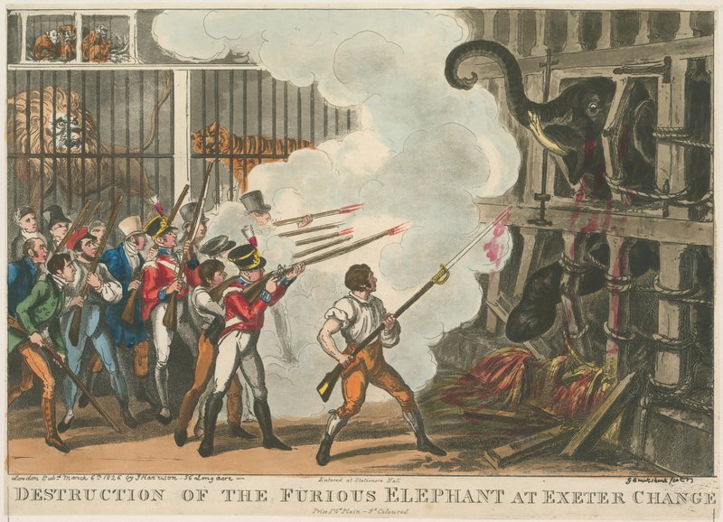 Raivostuneen norsun tuhoaminen Exeter Changessa, 1826 tekijältä George Cruikshank