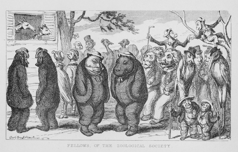 Eläintieteellisen seuran jäsenet (kaiverrus) tekijältä George Cruikshank
