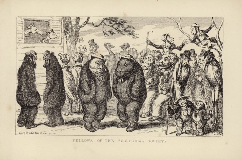 Eläintieteellisen seuran jäsenet tekijältä George Cruikshank