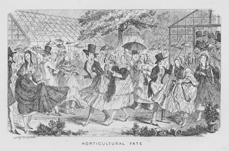 Puutarhakohtalo eli sade juhlissa tekijältä George Cruikshank