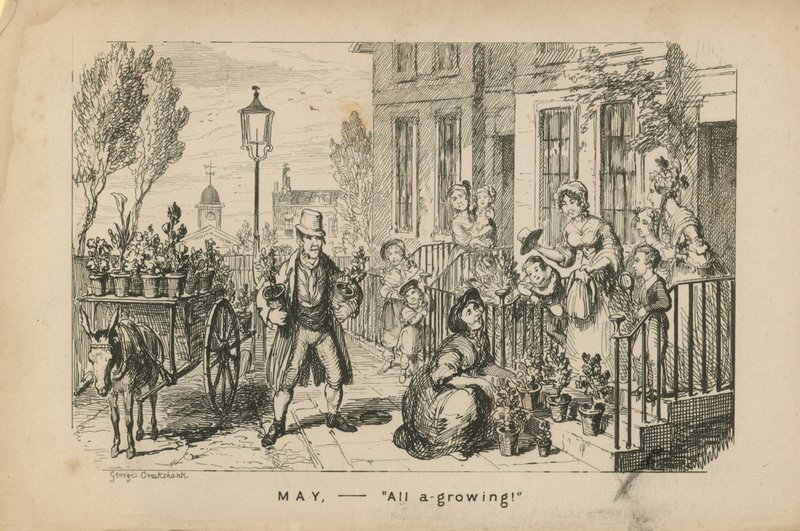 Toukokuu - kaikki kasvaa tekijältä George Cruikshank