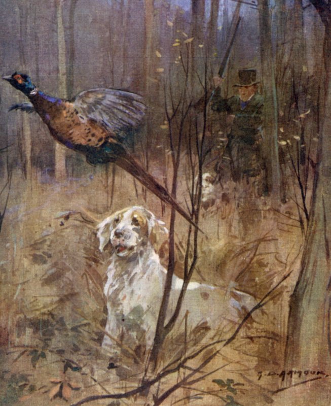 Fasaaniammunta vanhaan tyyliin (väri litho) tekijältä George Denholm Armour