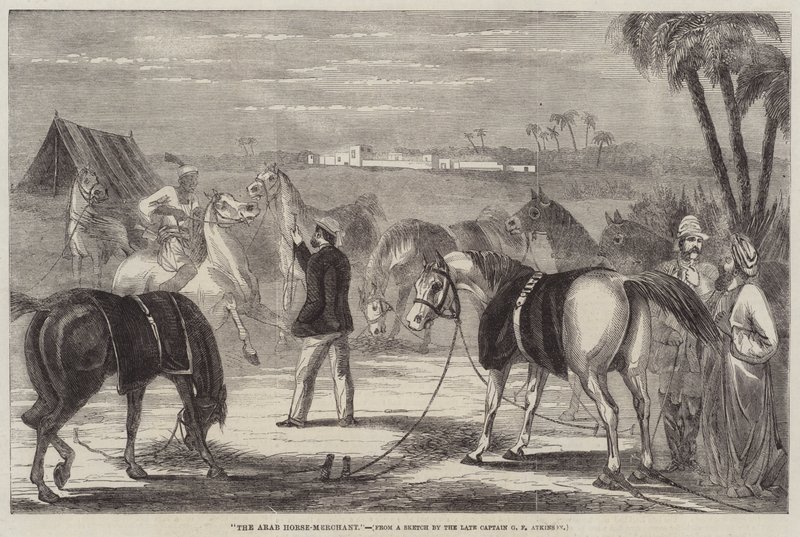 Arabihevoskauppias tekijältä George Francklin Atkinson