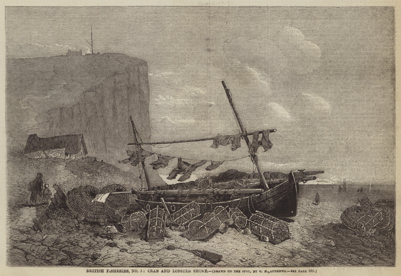 British Fisheries, No 5, Crab and Lobster Shore tekijältä George Henry Andrews