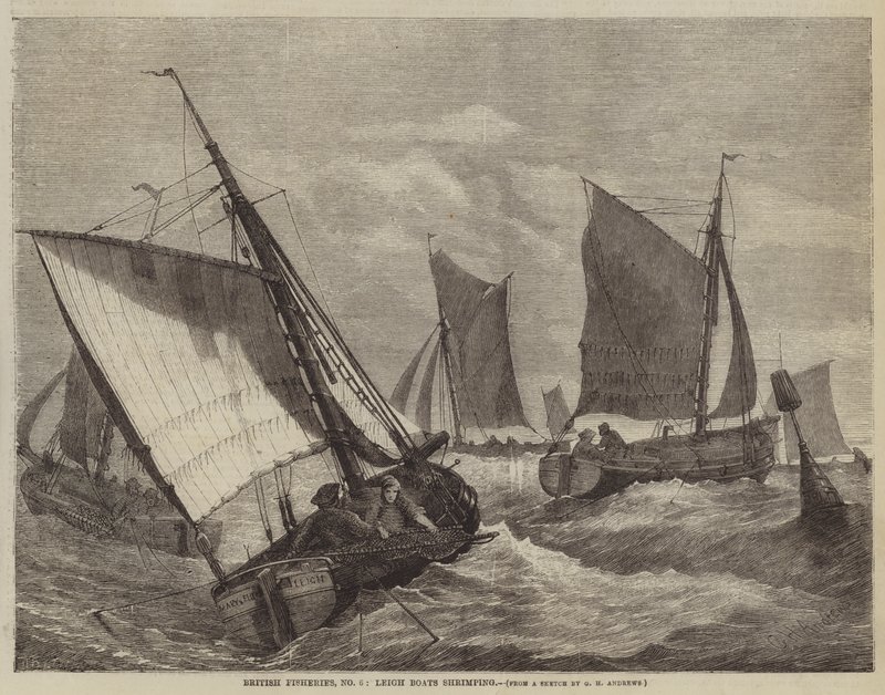 British Fisheries, No 6, Leigh Boats katkarapuja tekijältä George Henry Andrews