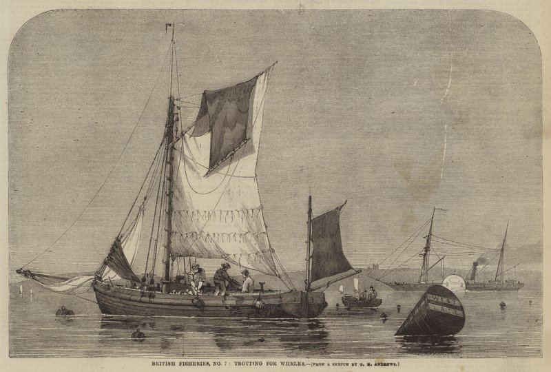 British Fisheries, nro 7, ravi Whelksille tekijältä George Henry Andrews