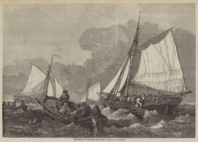 Turskan kalastus Pohjanmerellä tekijältä George Henry Andrews