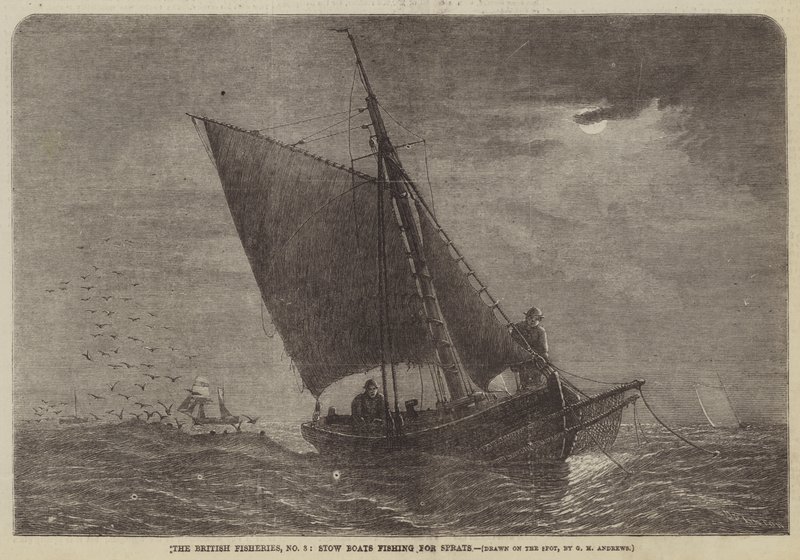 The British Fisheries, No 3, Stow Boats kalastavat kilohailia tekijältä George Henry Andrews