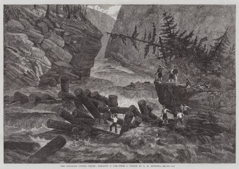 Kanadan puukauppa, tukoksen selvittäminen tekijältä George Henry Andrews