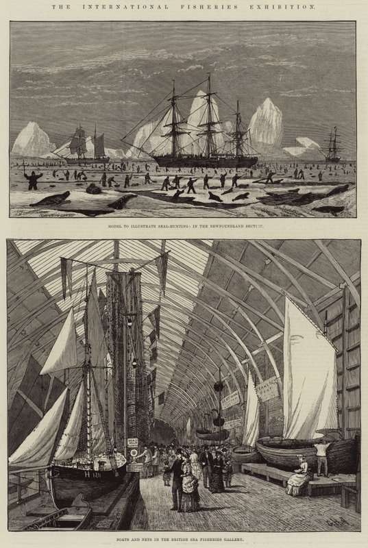Kansainvälinen kalastusnäyttely tekijältä George Henry Andrews